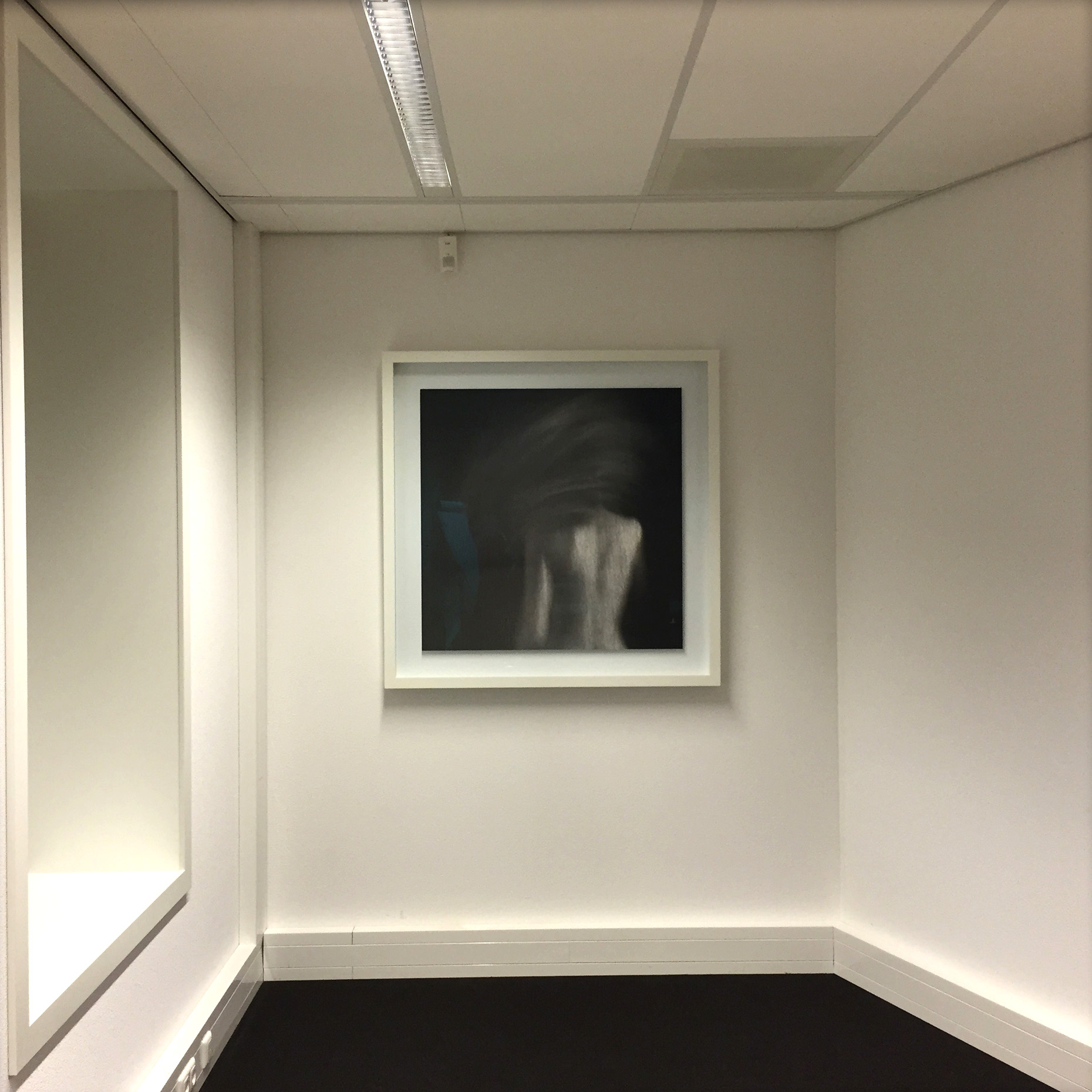 Framed Dione in Interior