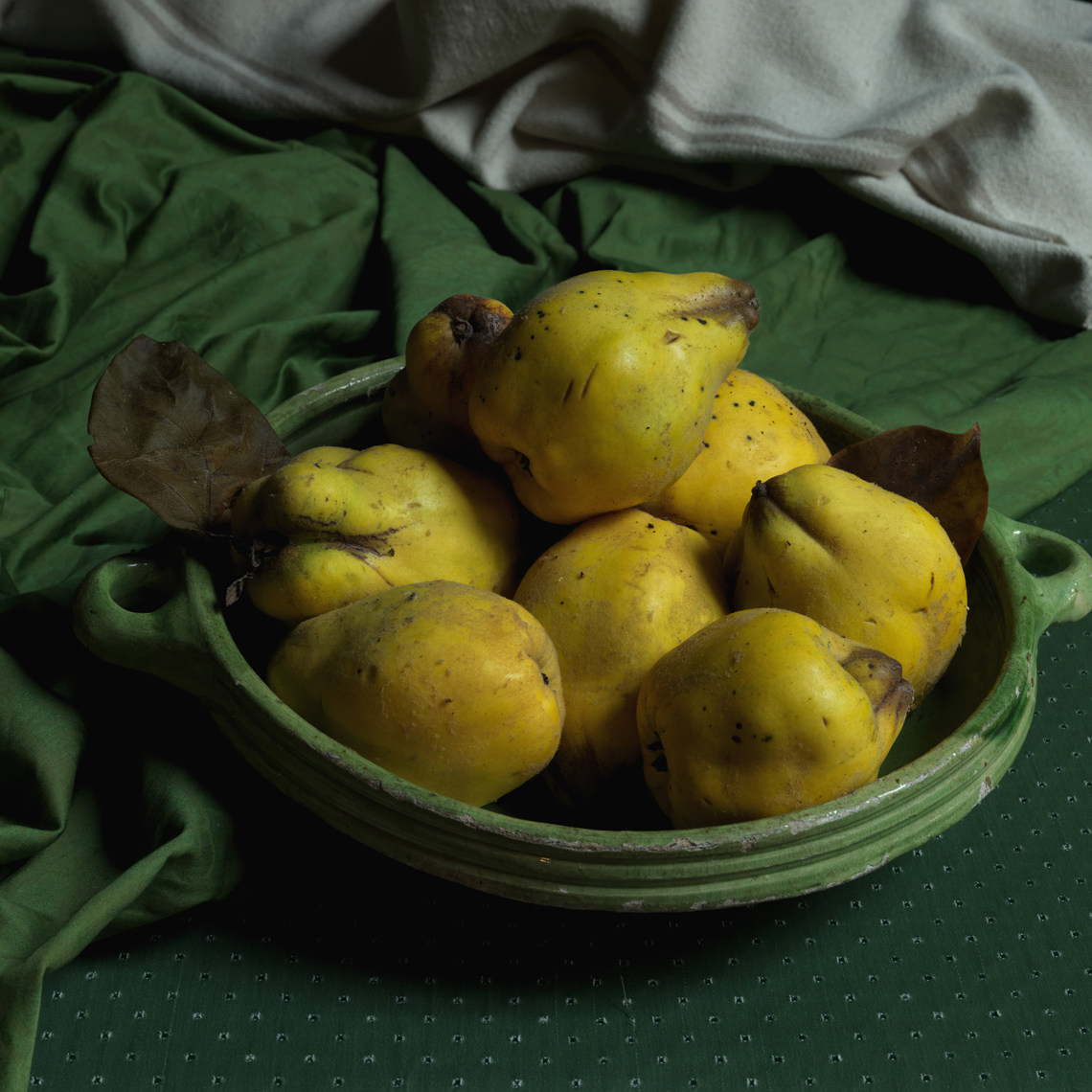 Quinces by Frank van Driel