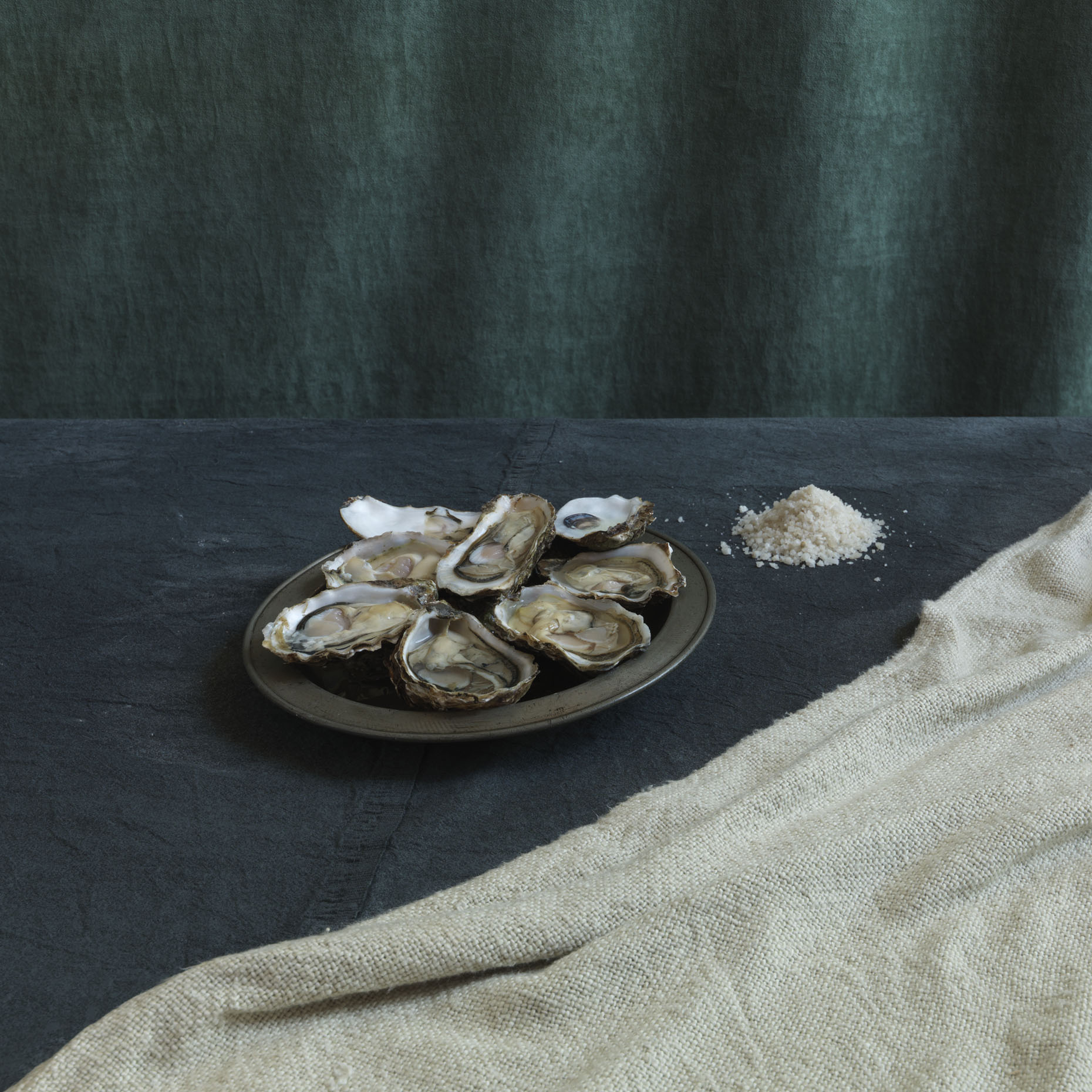 The Oysters by Frank van Driel